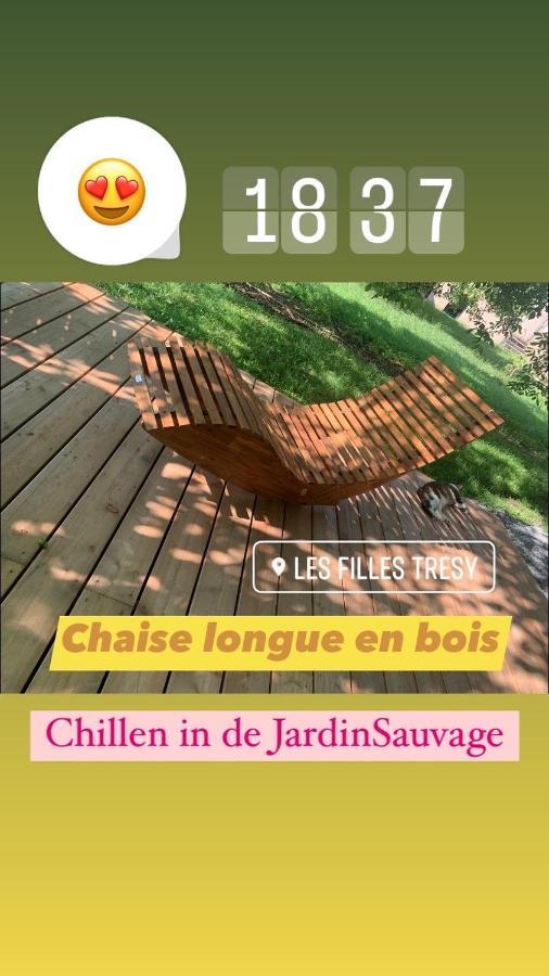 Gite Chambre De La Tante Camille - Les Filles Tresy Passenans Buitenkant foto